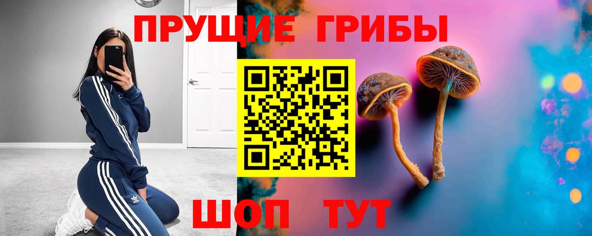 Псилоцибиновые грибы Psilocybine cubensis Артёмовский